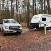 Review photo of Trap Pond State Park Campground by Laure D., April 22, 2020