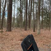 Review photo of Trap Pond State Park Campground by Laure D., April 22, 2020