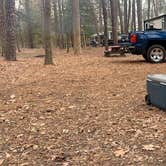 Review photo of Trap Pond State Park Campground by Laure D., April 22, 2020