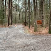 Review photo of Trap Pond State Park Campground by Laure D., April 22, 2020