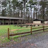 Review photo of Trap Pond State Park Campground by Laure D., April 22, 2020