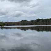 Review photo of Trap Pond State Park Campground by Laure D., April 22, 2020