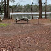 Review photo of Trap Pond State Park Campground by Laure D., April 22, 2020