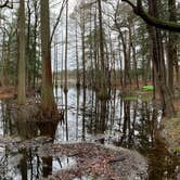 Review photo of Trap Pond State Park Campground by Laure D., April 22, 2020