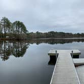 Review photo of Trap Pond State Park Campground by Laure D., April 22, 2020