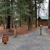 Review photo of Trap Pond State Park Campground by Laure D., April 22, 2020