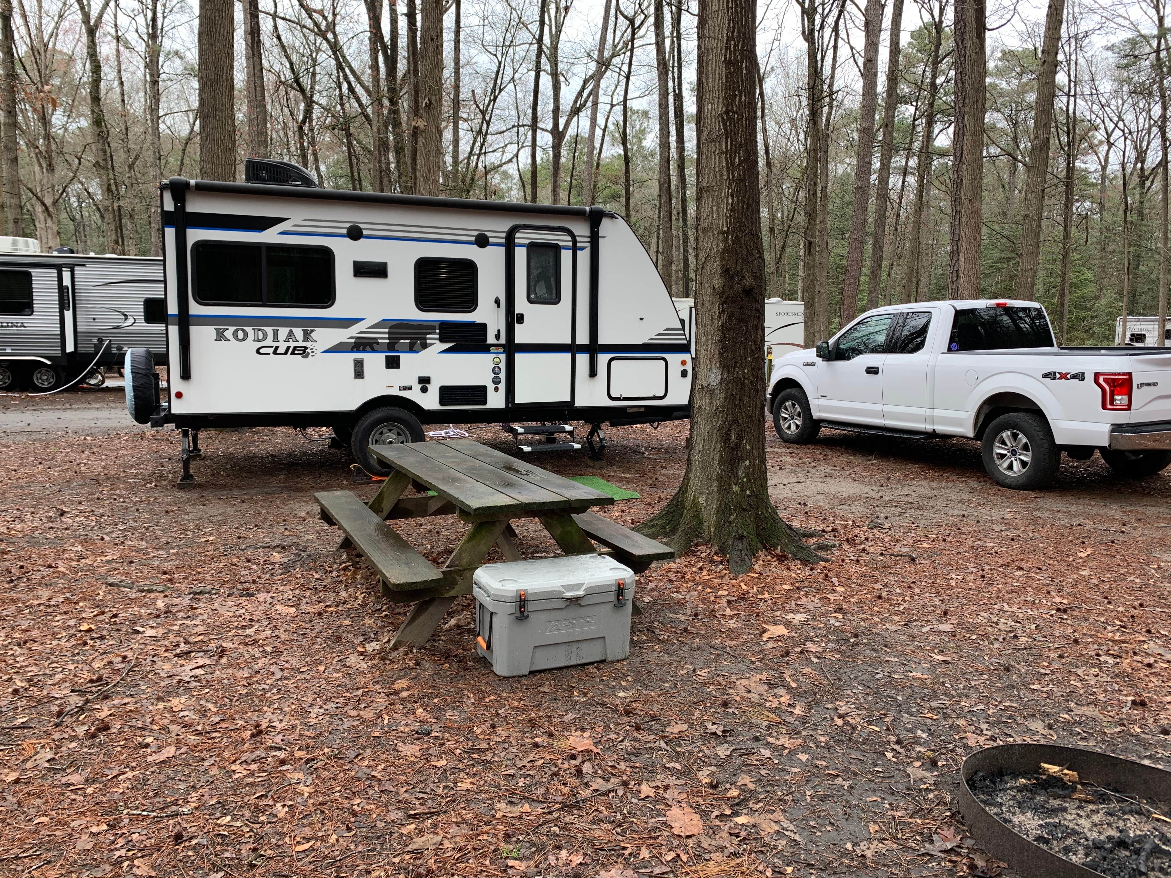 Laure D.'s photo at Trap Pond State Park Campground near Trappe, MD
