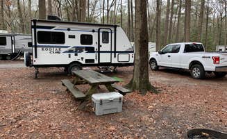 Laure D.'s photo at Trap Pond State Park Campground near Seaford, DE
