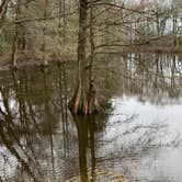 Review photo of Trap Pond State Park Campground by Laure D., April 22, 2020