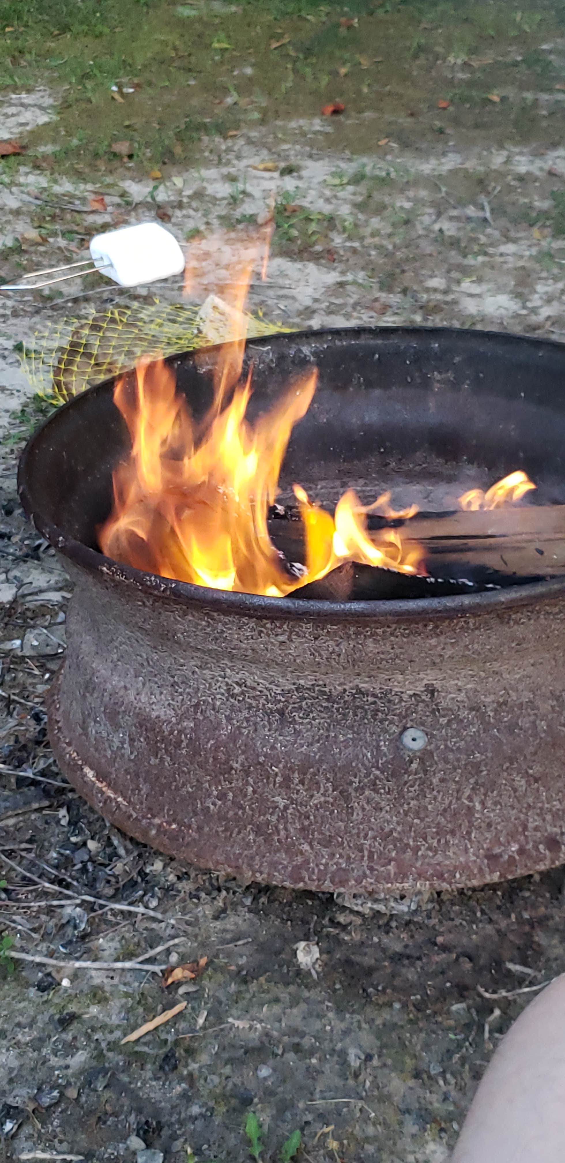 Camper-submitted photo at Isle of Wight Family Campground near Smithfield, VA