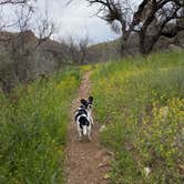 Review photo of Colossal Cave Mountain Park by Brad F., April 22, 2020