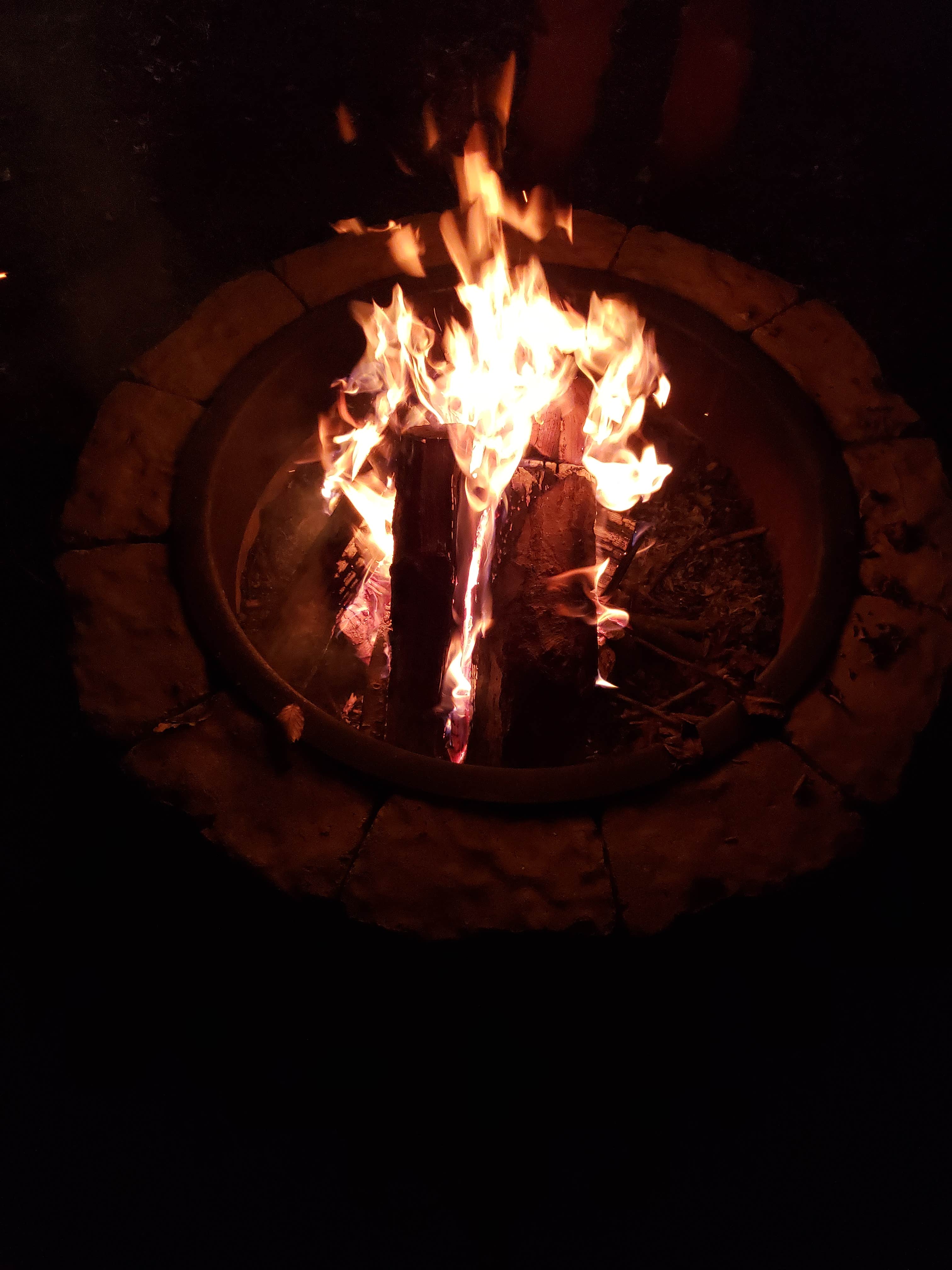 Camper-submitted photo at Davis Lakes Resort near Smithfield, VA