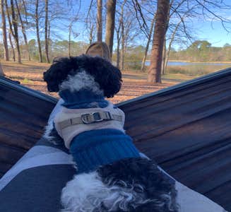 Camper-submitted photo from South Campground — Chicot State Park