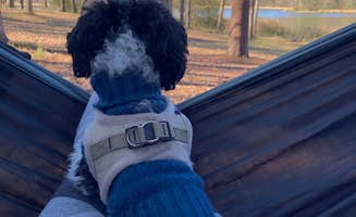 Layla D.'s photo of camping with pets at Indian Creek Recreation Area in Louisiana