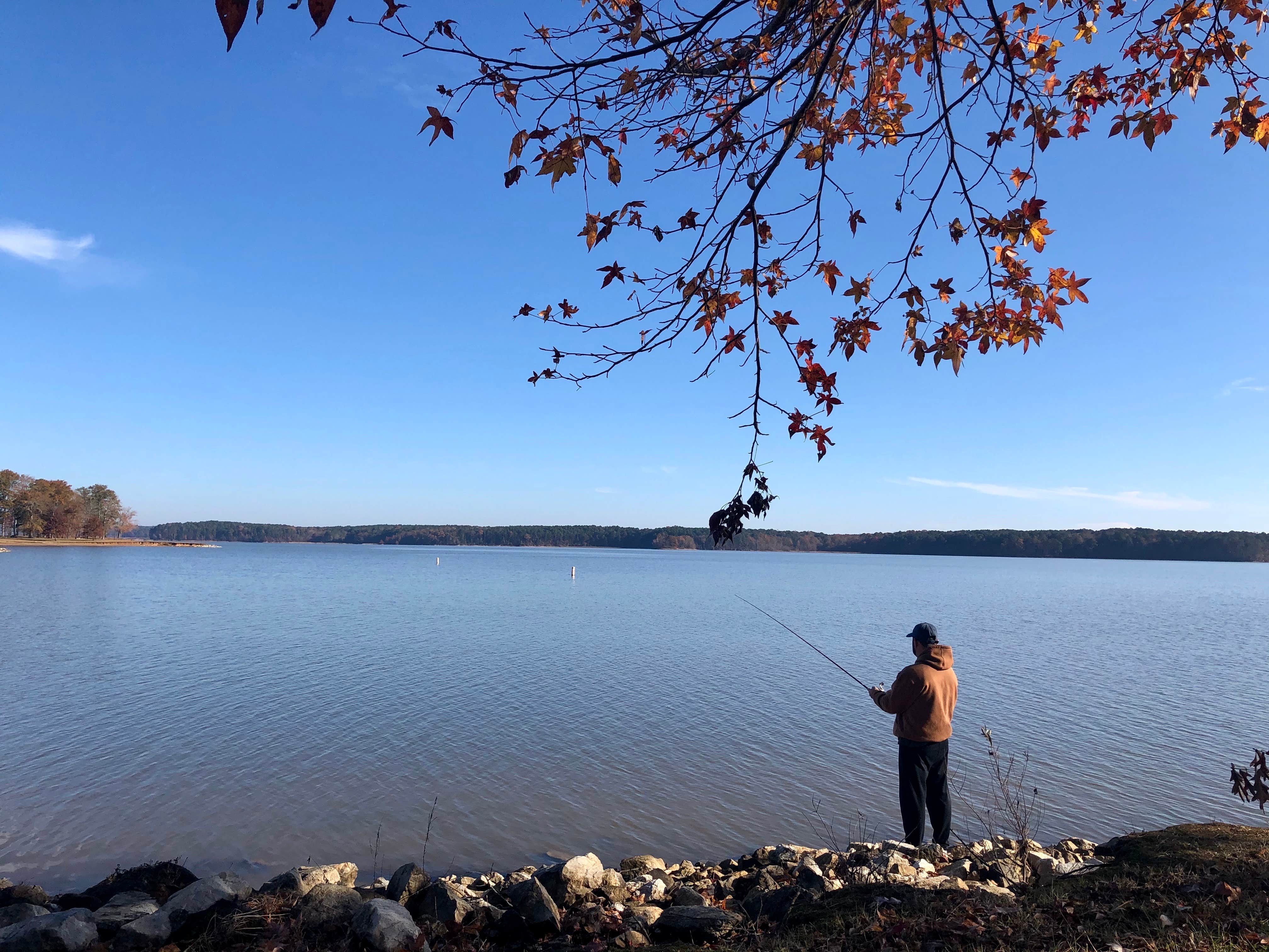 Camper submitted image from COE Okatibbee Lake Twiltley Branch Campground - 5