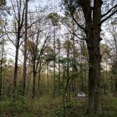 Review photo of Lake Bob Sandlin State Park Campground by Cassie S., September 16, 2017