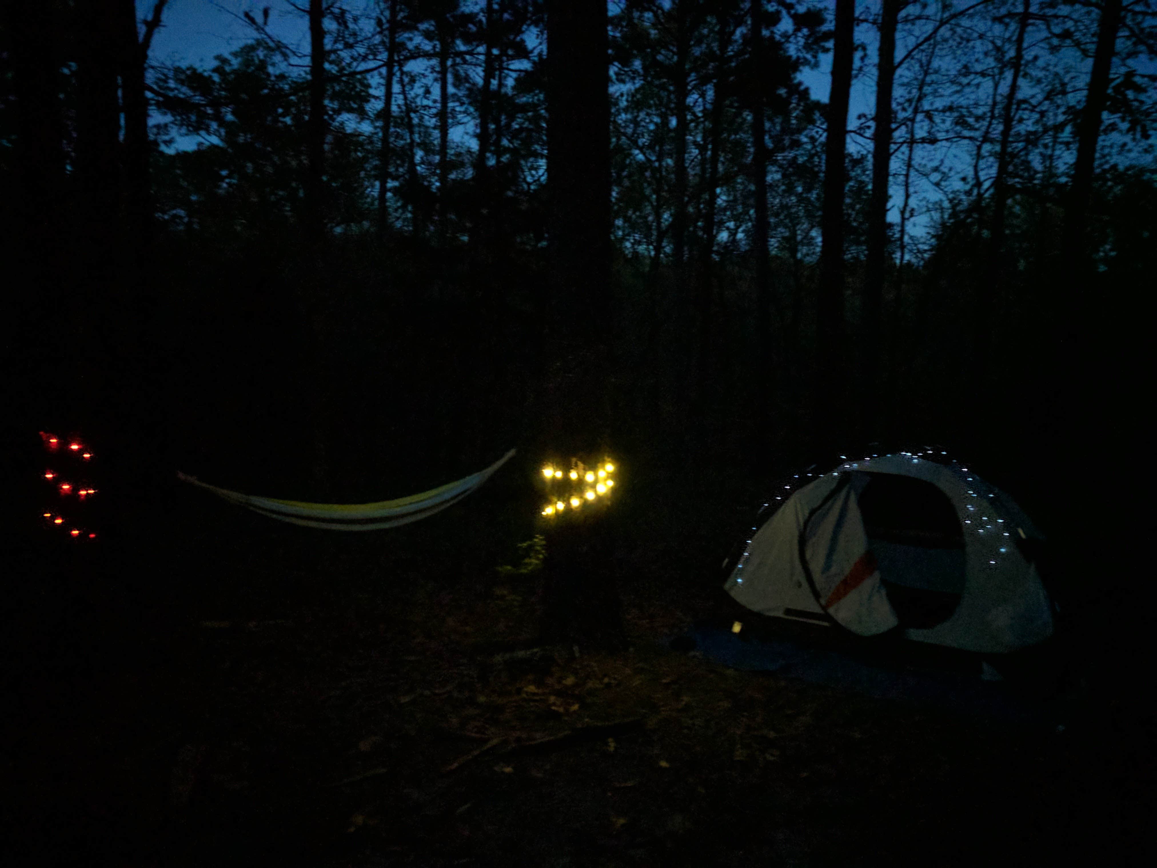 Cassie S.'s photo at Lake Bob Sandlin State Park Campground near Daingerfield, TX