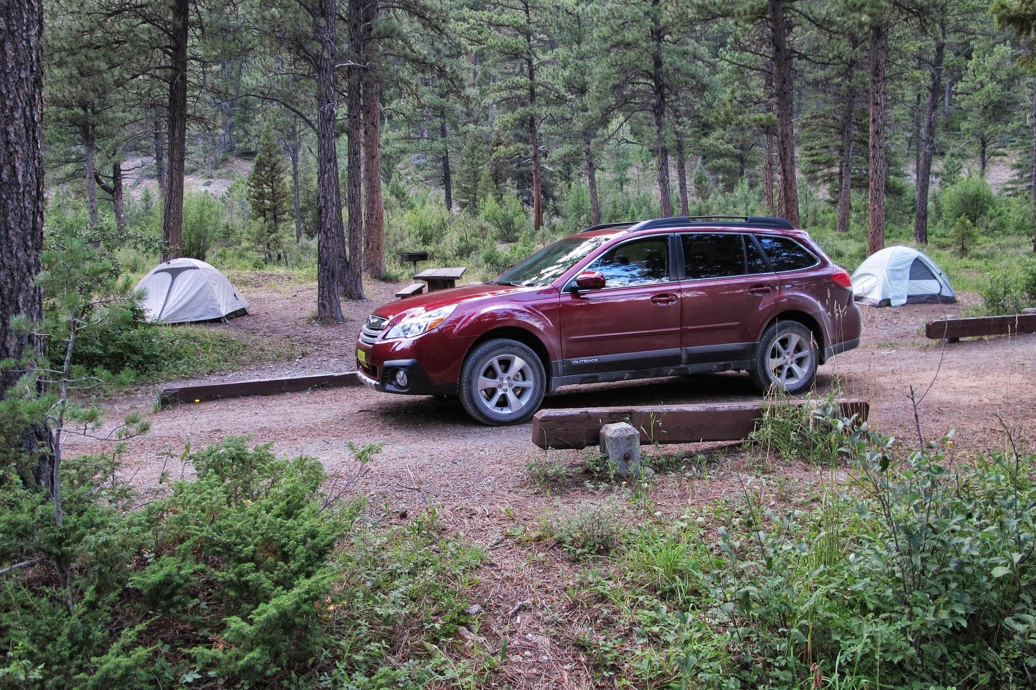 Steve S.'s photo at Logging Creek near Lewis and Clark National Forest