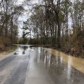 Review photo of Bogue Chitto State Park Campground by Layla D., April 22, 2020