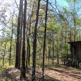 Review photo of Lake Bob Sandlin State Park Campground by Cassie S., September 16, 2017