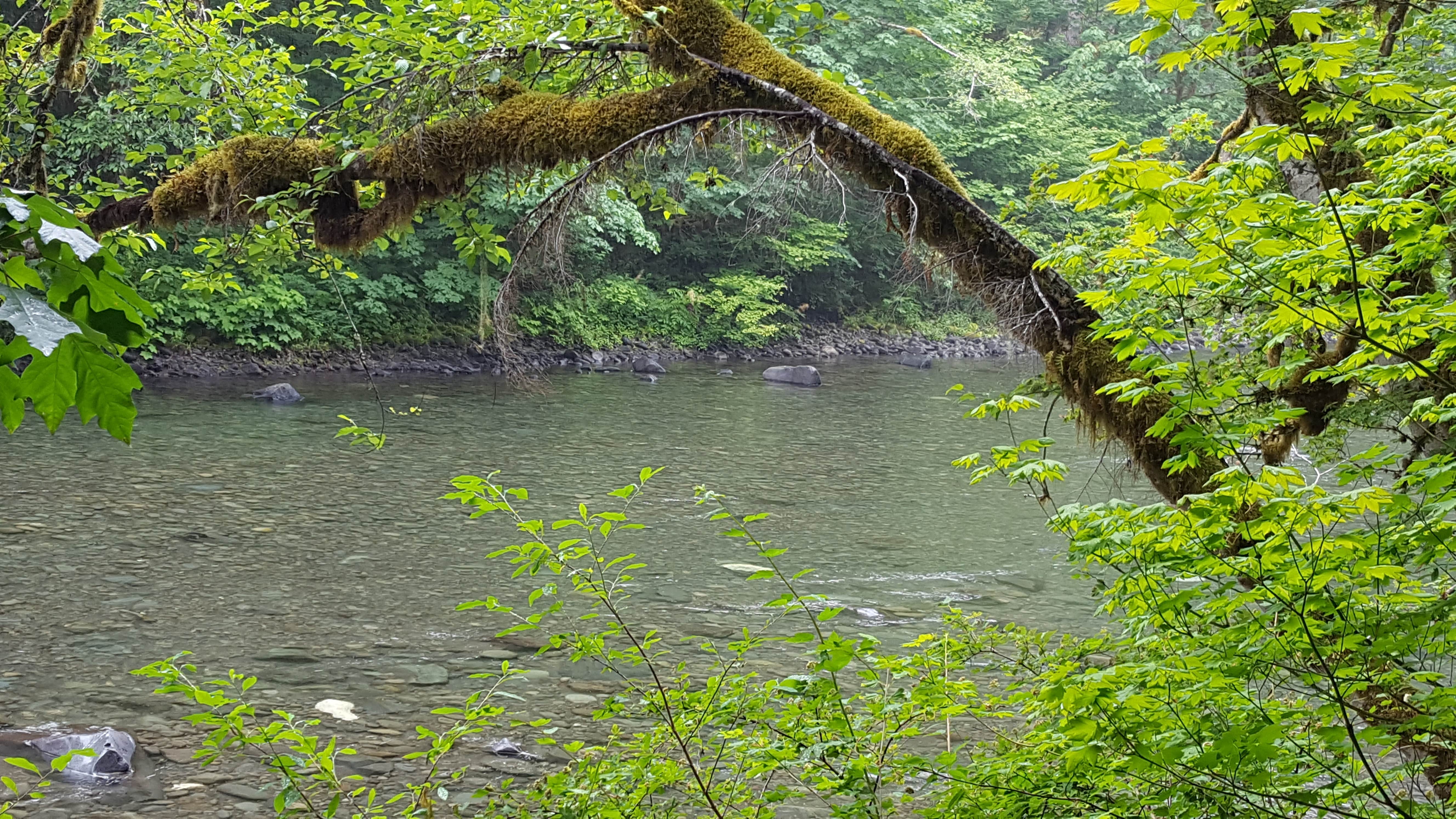 Camper-submitted photo at Klahowya Campground near Clallam Bay, WA