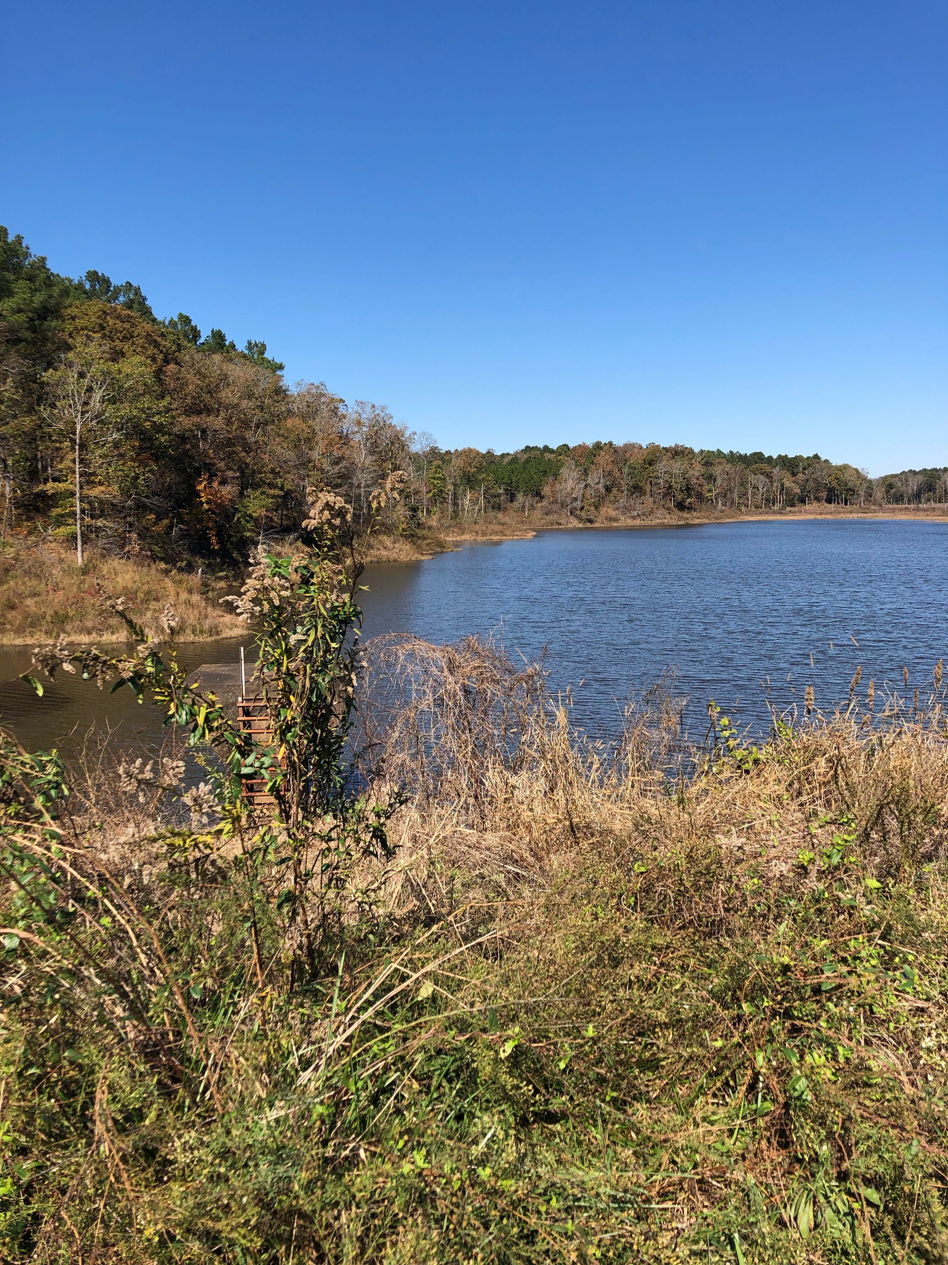 Camper-submitted photo at Cox Lake near Southaven, MS
