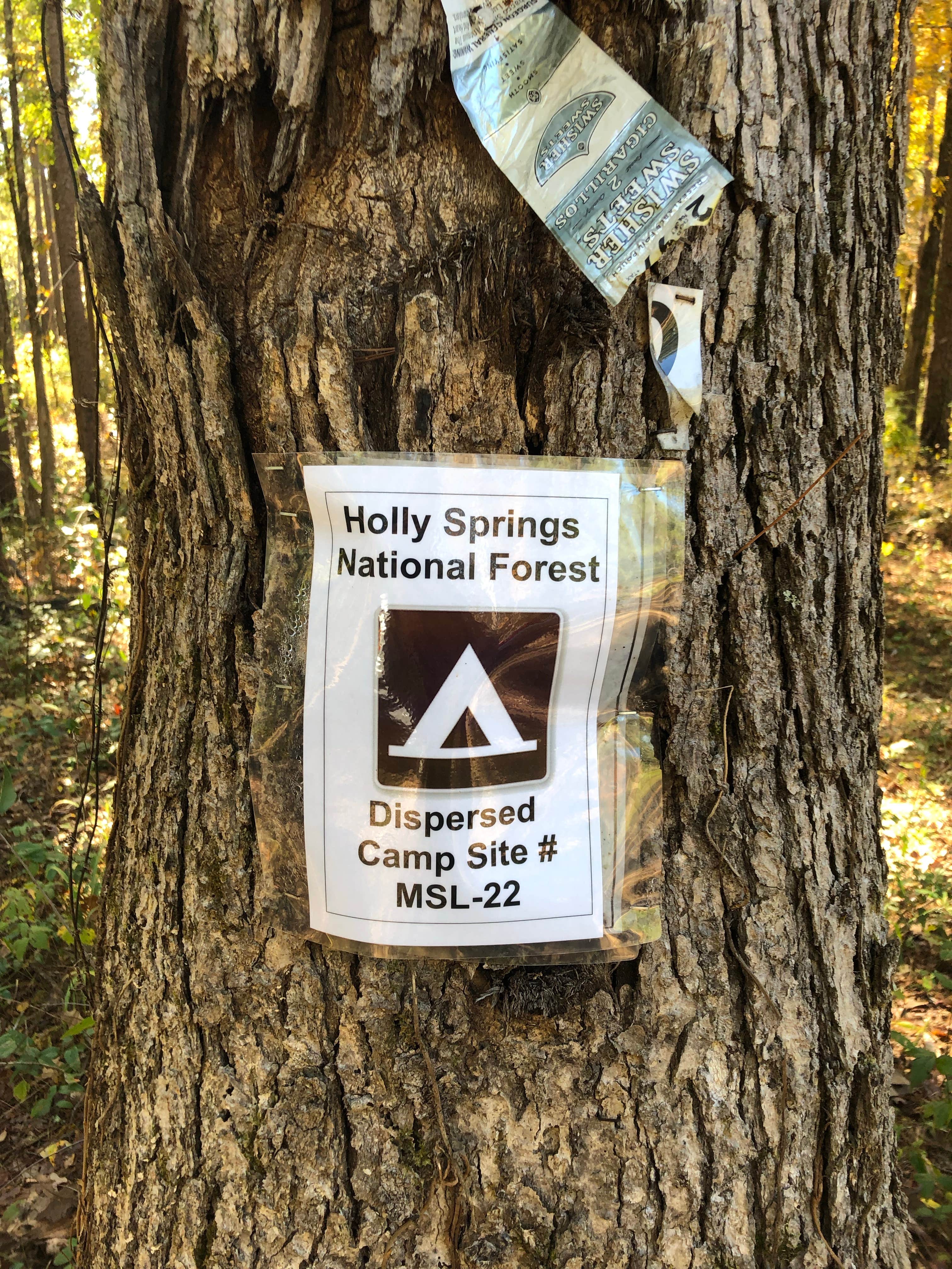 Camper-submitted photo at Cox Lake near Southaven, MS