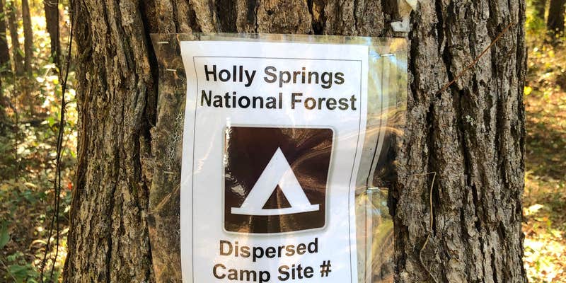 Camper submitted image from Cox Lake