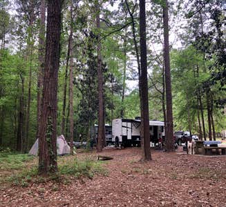 Camper-submitted photo from Lake Lincoln State Park Campground