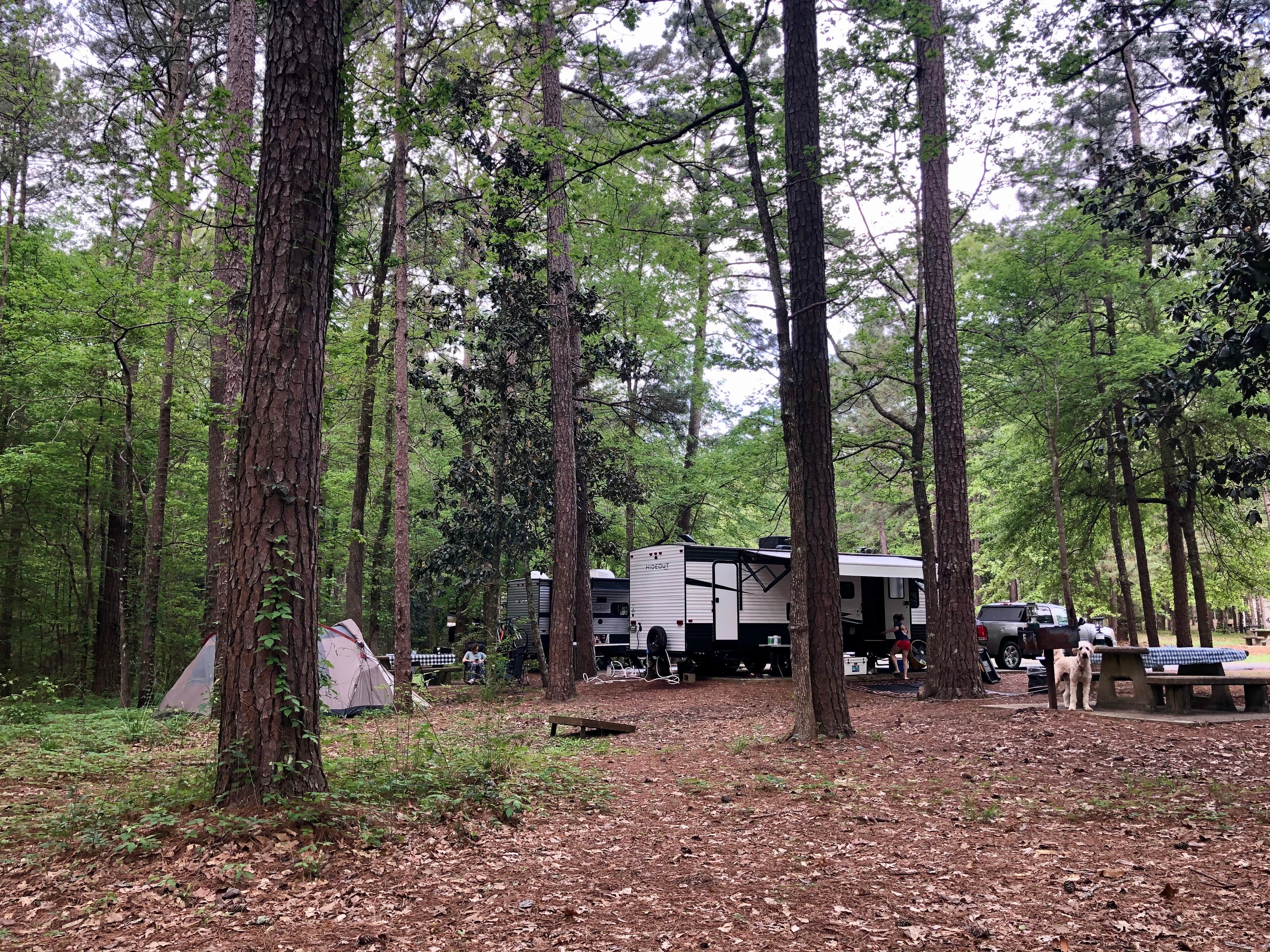 Camper submitted image from Lake Lincoln State Park Campground - 3
