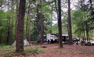 Layla D.'s photo at Lake Lincoln State Park Campground in Mississippi