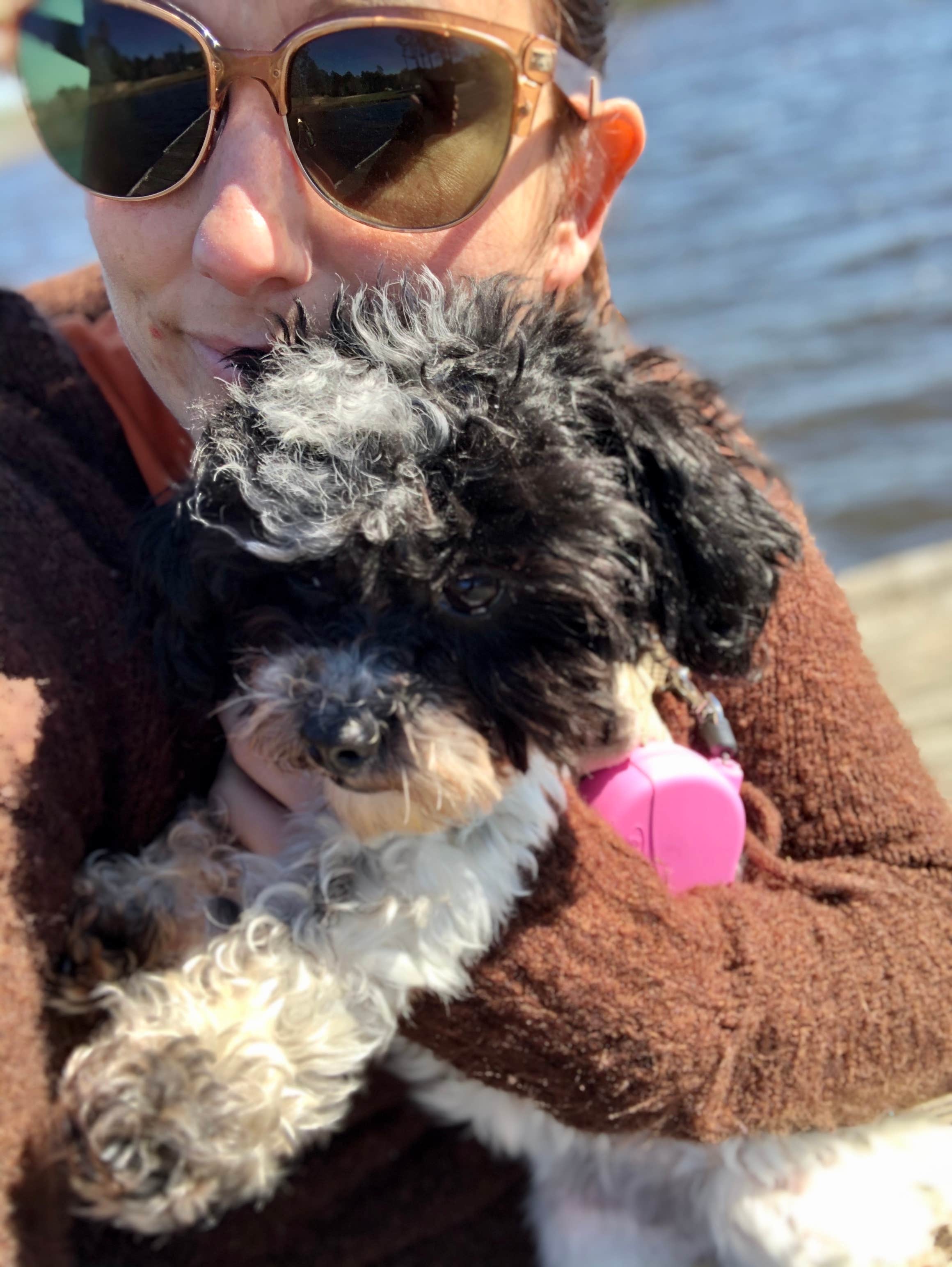 Layla D.'s photo of camping with pets at Paul B. Johnson State Park Campground in Mississippi