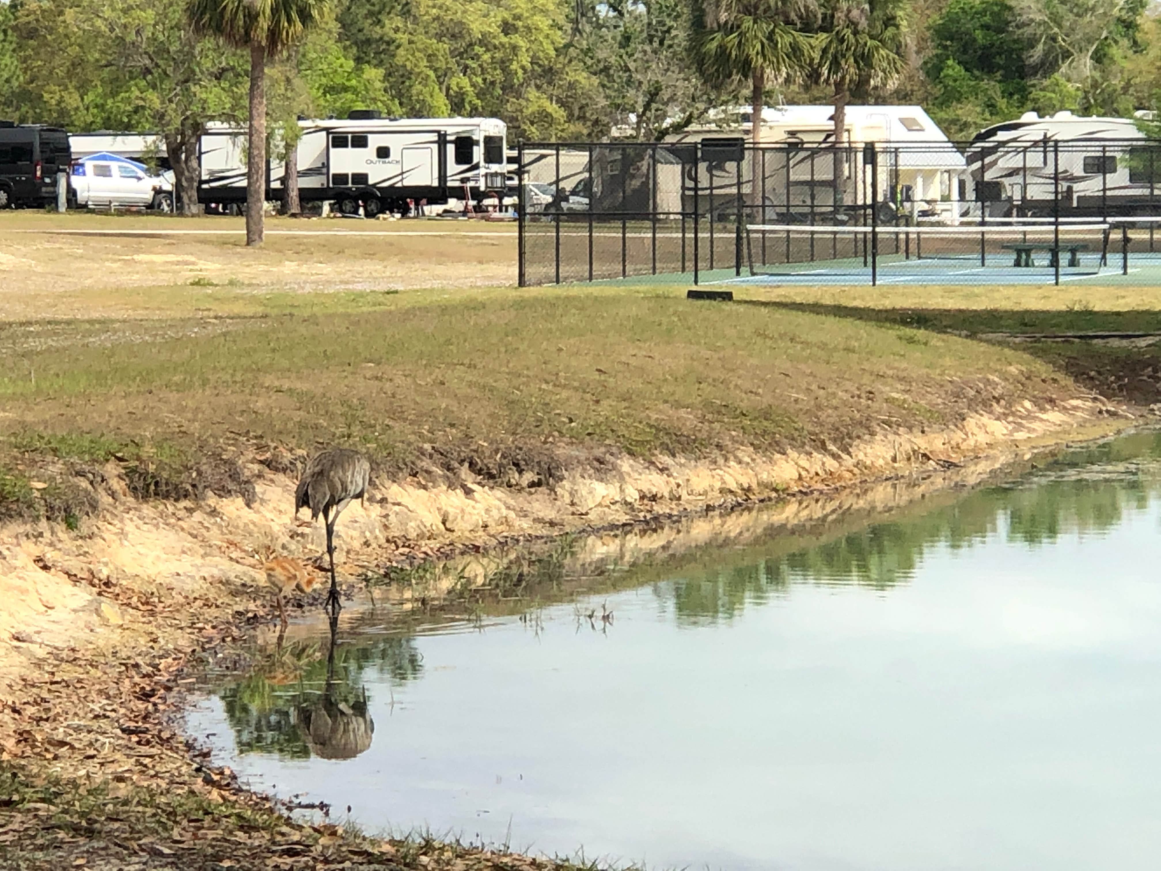 Laura H.'s photo of rv camping at Thousand Trails Orlando near Orlando, FL