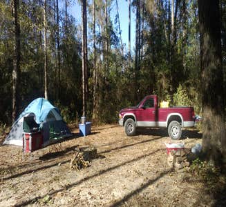 Camper-submitted photo from Wall Doxey State Park Campground
