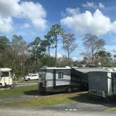 Review photo of Encore Tropical Palms by Laura H., April 23, 2020