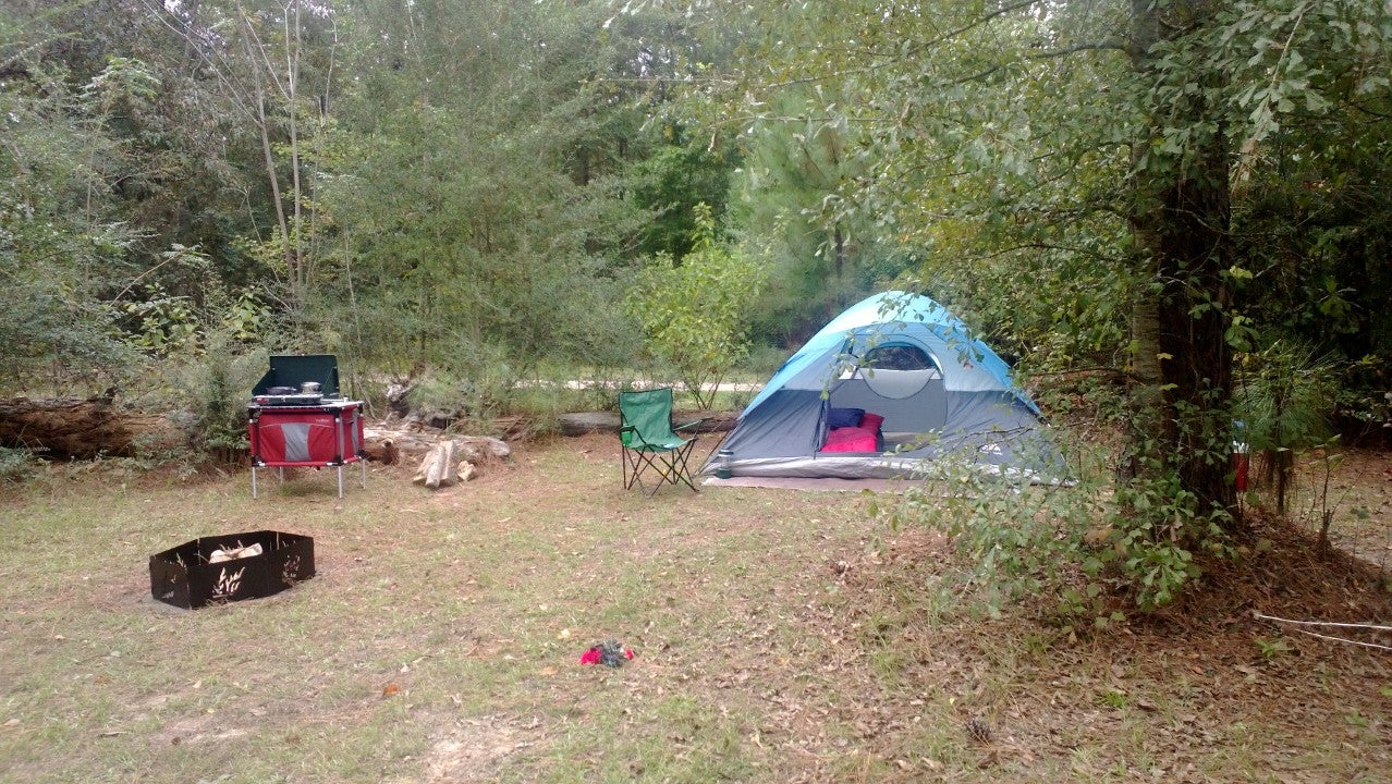 Camper submitted image from Paul B. Johnson State Park - 2