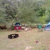 Review photo of Paul B. Johnson State Park Campground by Celeste S., September 16, 2017