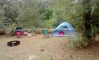 Celeste S.'s photo at Paul B. Johnson State Park Campground near Wiggins, MS