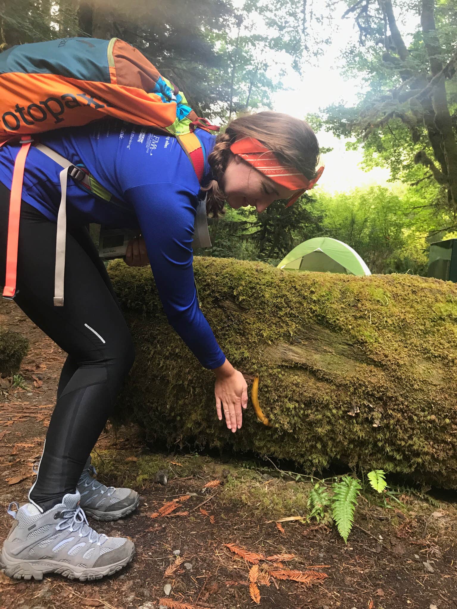Emma N.'s photo at Mill Creek Campground — Del Norte Coast Redwoods State Park near Klamath, CA