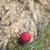 Review photo of Pinnacles Campground - Brooks Lake by Keisha D., April 23, 2020