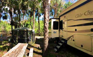 Laura H.'s photo at Thousand Trails Peace River near Lake Placid, FL