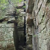Review photo of Fall Creek Falls State Park Campground by Shea M., April 23, 2020
