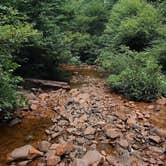 Review photo of Fall Creek Falls State Park Campground by Shea M., April 23, 2020