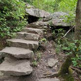 Review photo of Fall Creek Falls State Park Campground by Shea M., April 23, 2020