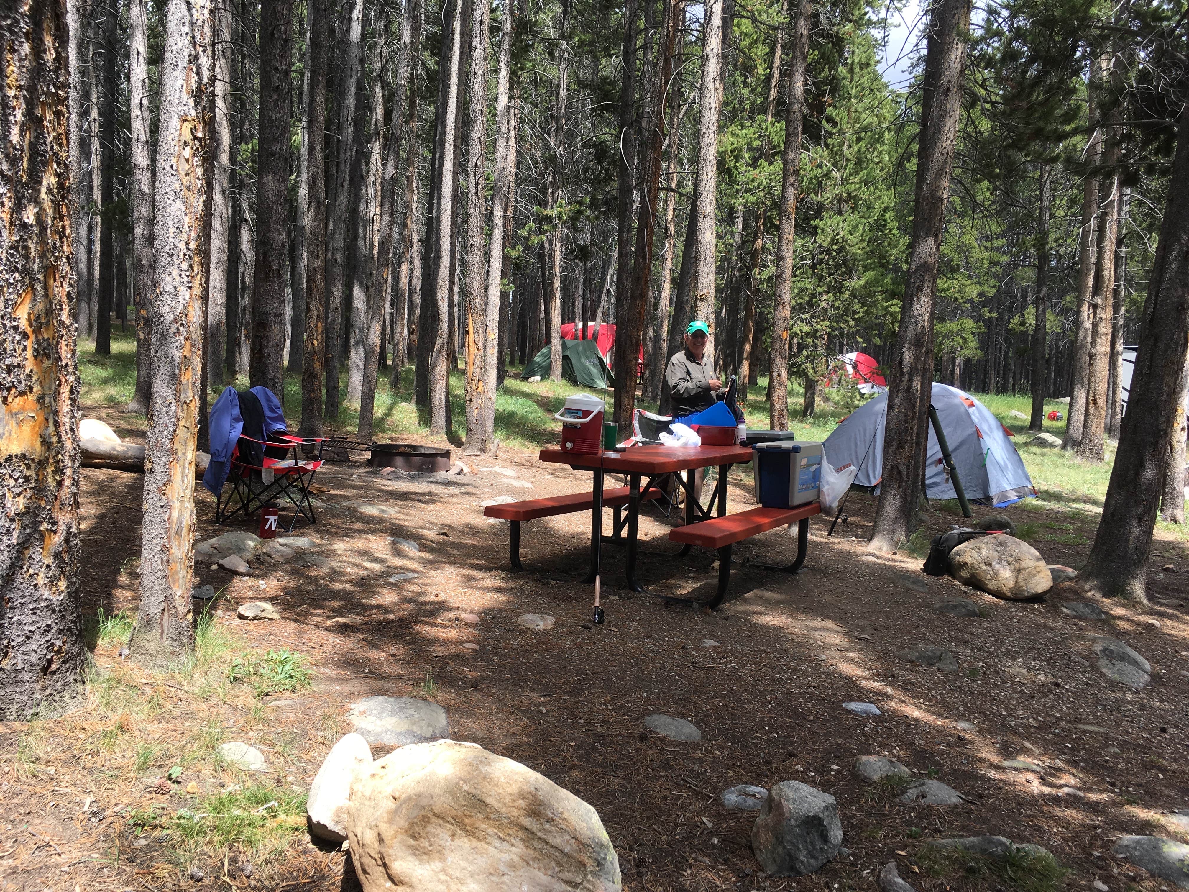 Camper submitted image from Island Park Campground - 4