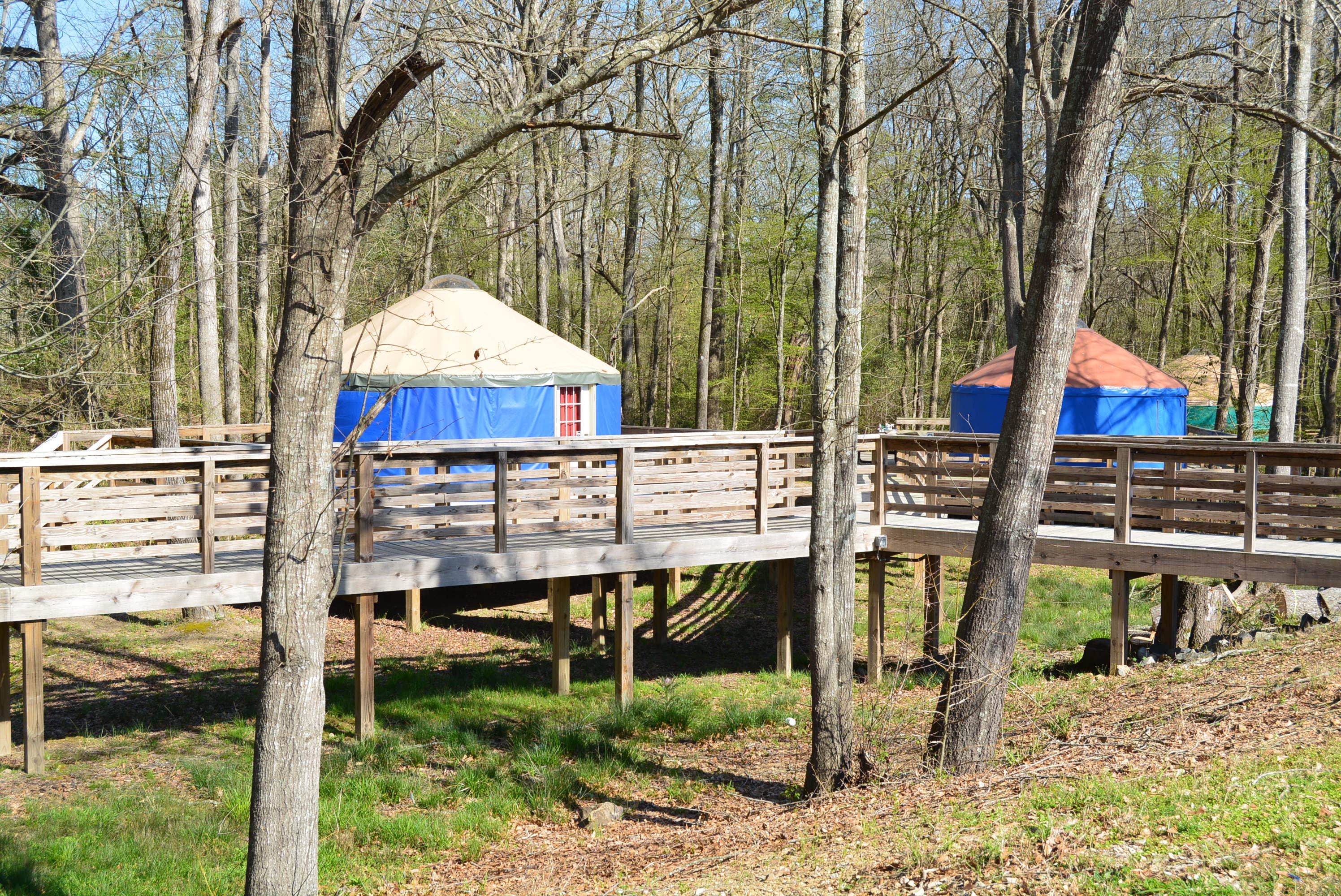 Nancy W.'s photo of a cabin at Catherine's Landing near Casa, AR