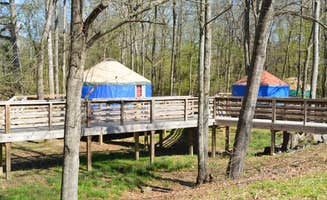 Nancy W.'s photo of a cabin at Catherine's Landing near Bryant, AR
