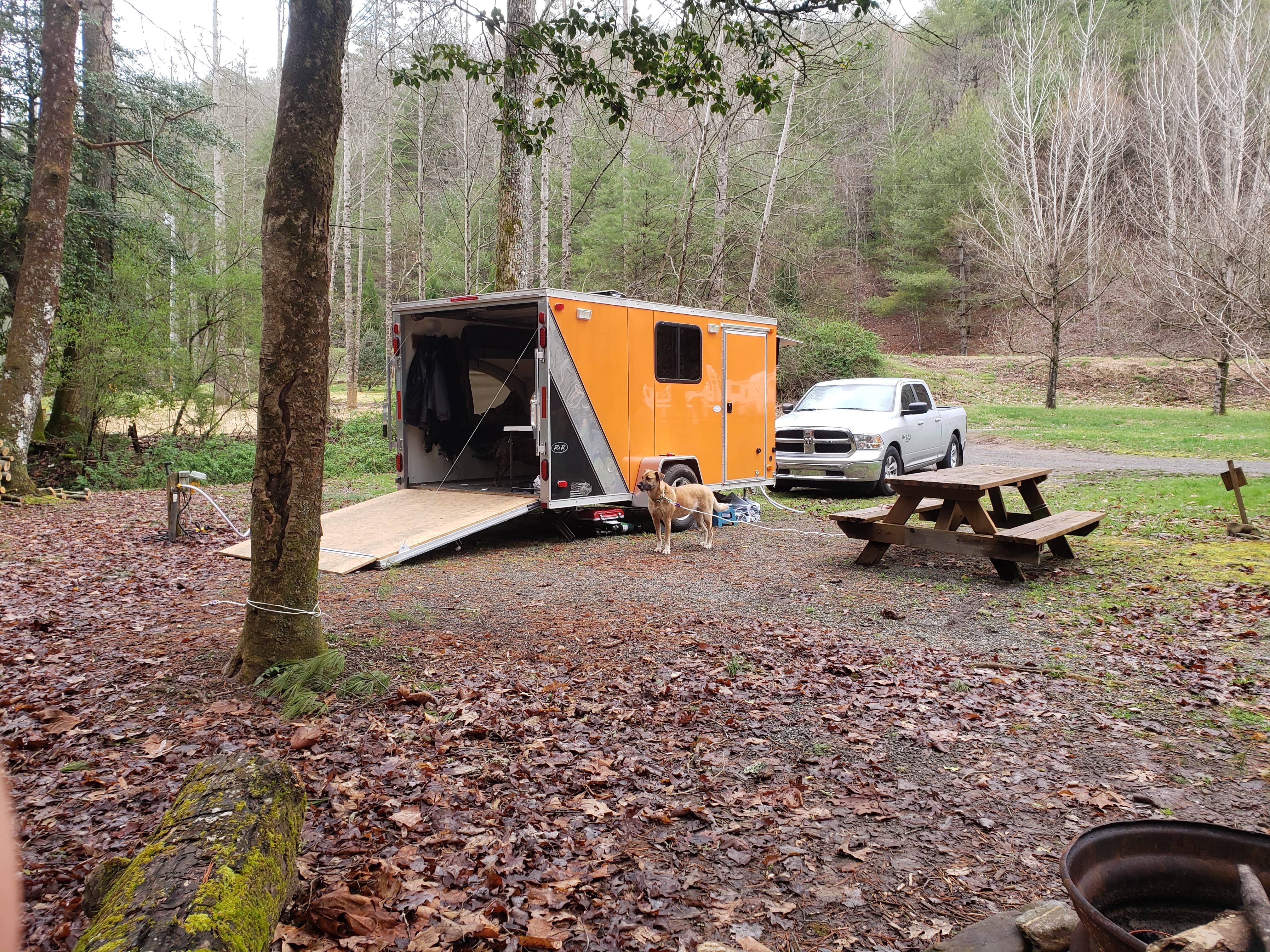 Michael L.'s photo at Appalachian Campground near Hiawassee, GA