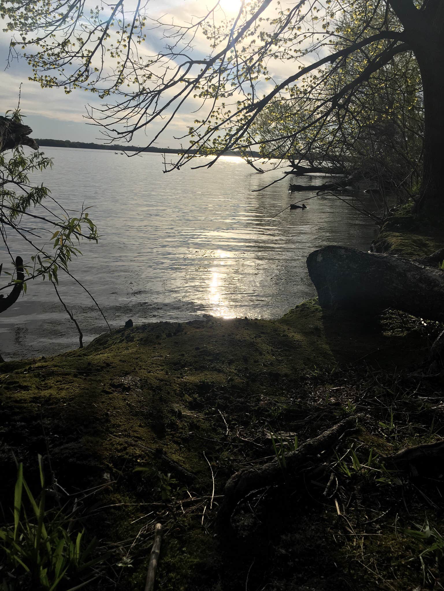 Camper-submitted photo at White Fox — Myre-Big Island State Park near Hayward, MN