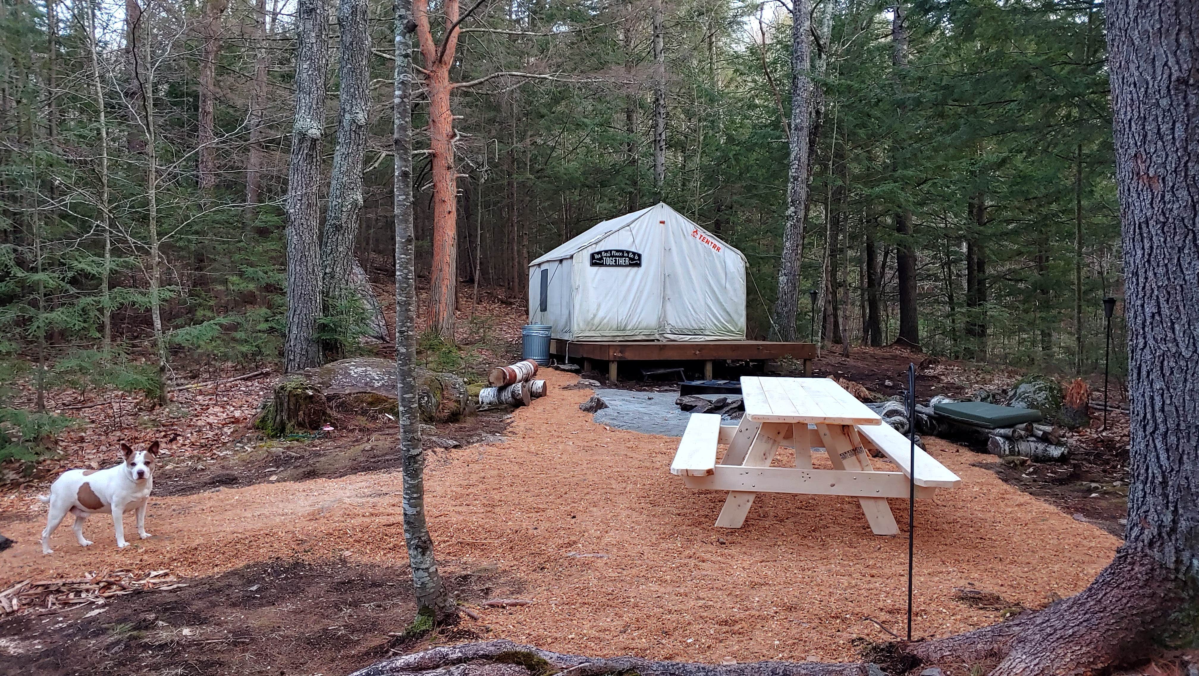 Steve K.'s photo at The Lost Boys Hideout Rock'n Summer near Warner, NH